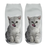 Printing Women Socks Brand Sock
