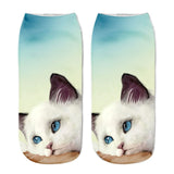 Printing Women Socks Brand Sock