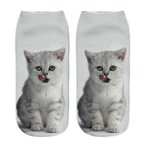 Printing Women Socks Brand Sock