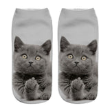 Printing Women Socks Brand Sock