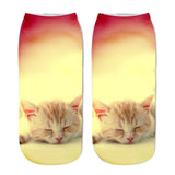 Printing Women Socks Brand Sock