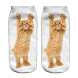 Printing Women Socks Brand Sock