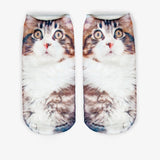 Printing Women Socks Brand Sock