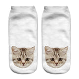 Printing Women Socks Brand Sock