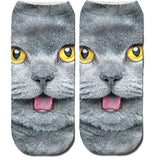 Printing Women Socks Brand Sock