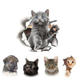 3D Wall Sticker for Living room